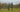 ANEMOSCOPE FIELD